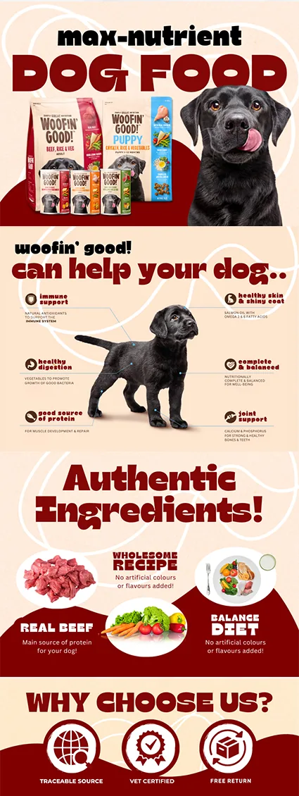 Pet food ecommerce promotion banner design